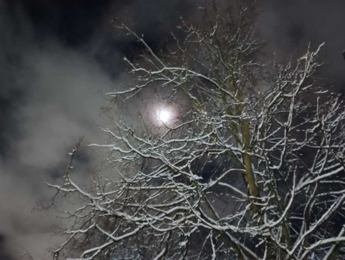 «Россети» ввели особый режим работы.