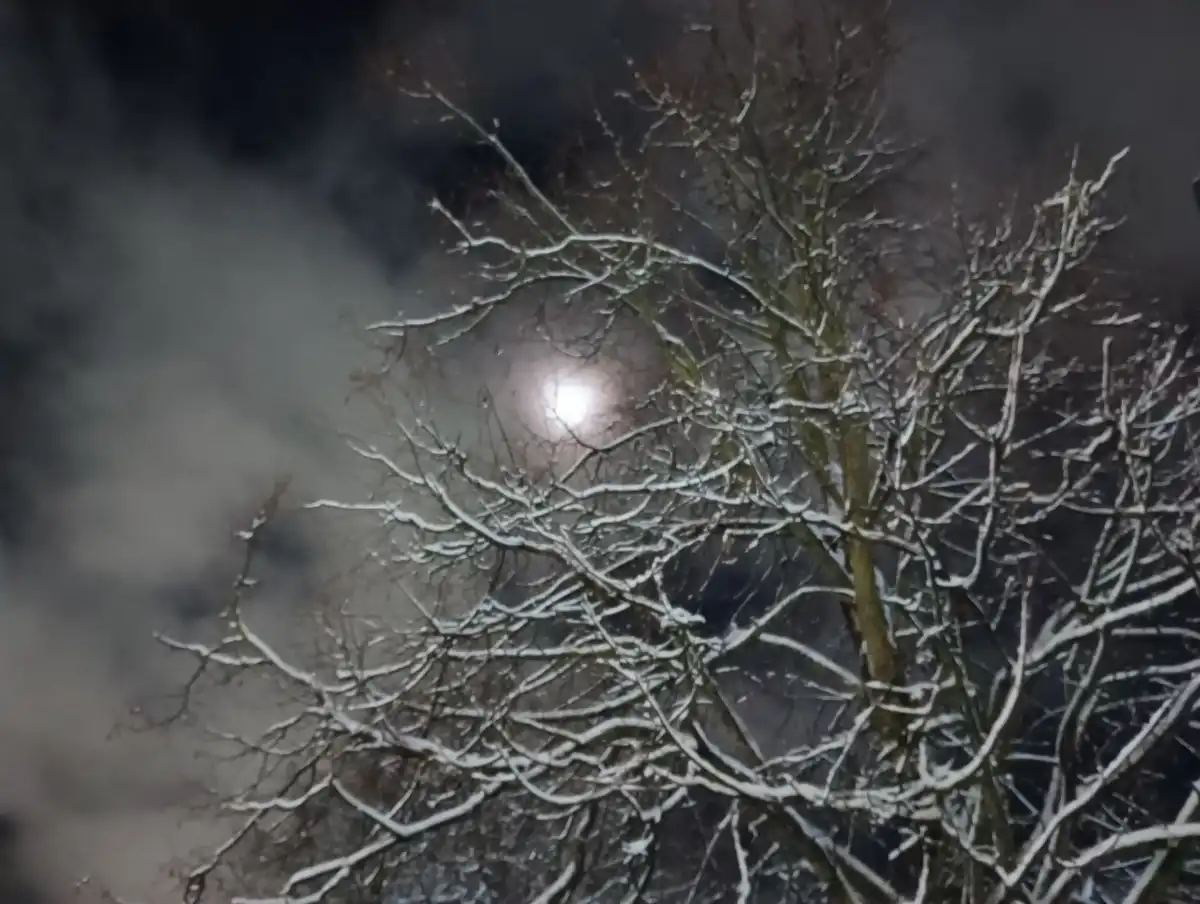 «Россети» ввели особый режим работы.