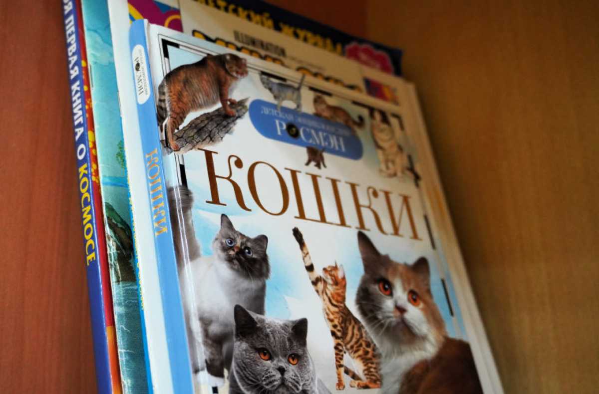 В главном здании мэрии работают 103 сотрудника, более половины из них – родители детей от 7 до 14 лет.