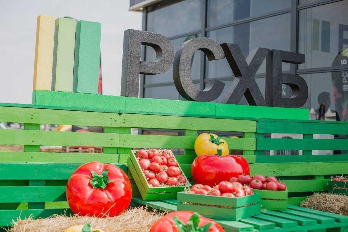 РСХБ разработал новый агротуристический продукт – «Пикник на ферме»
