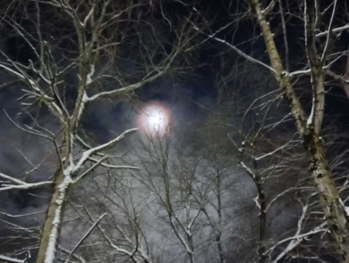 «Россети» работают в особом режиме.