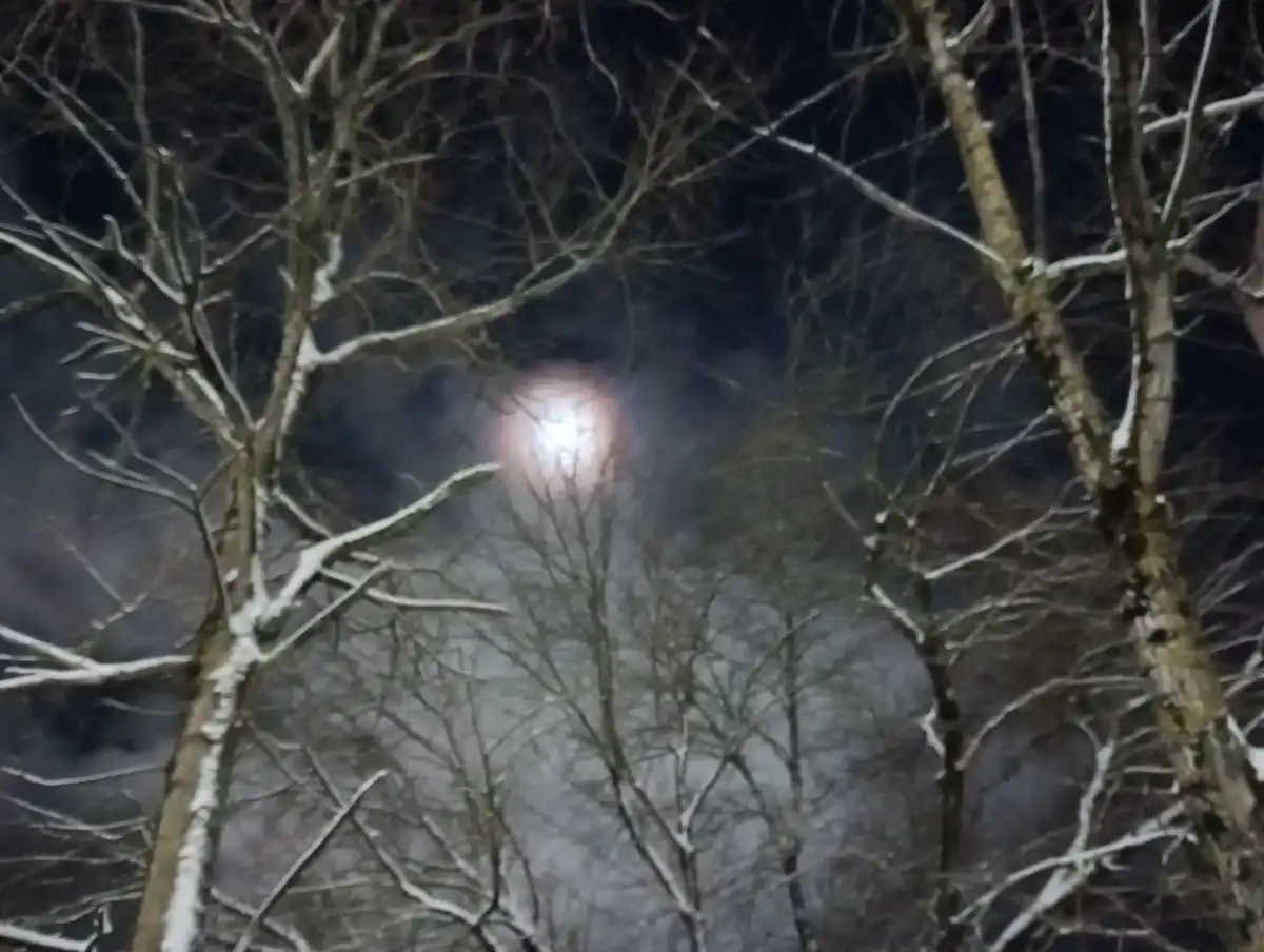 «Россети» работают в особом режиме.