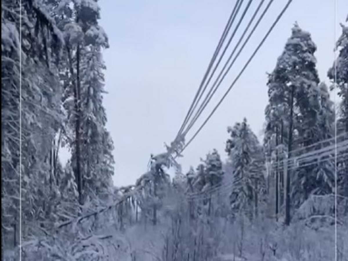 Над восстановлением электроснабжения работают 223 специалиста «Россетей»