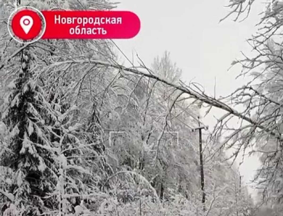 «Россети Северо-Запад» восстановили 1040 километров ЛЭП в Новгородской области после сильных снегопадов