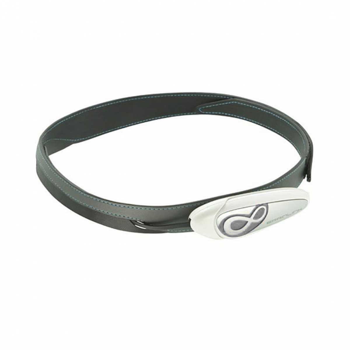 На разработку получен грант в размере 500 тысяч рублей по программе Фонда содействия инновациям «УМНИК».