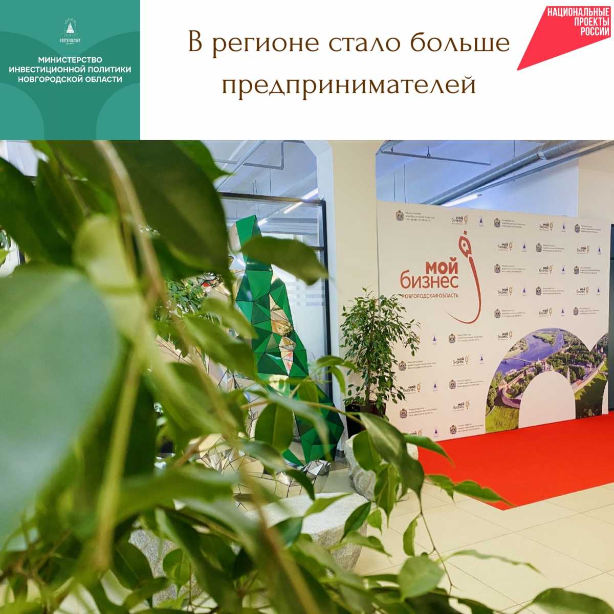 За год в Новгородской области количество предпринимателей и самозанятых увеличилось более чем на 11 тысяч
