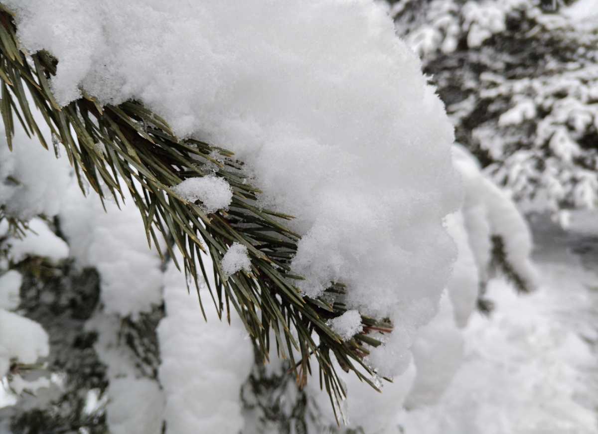 В воскресенье, 11 января, влияние циклона начнет ослабевать, но сохранится в первой половине недели.
