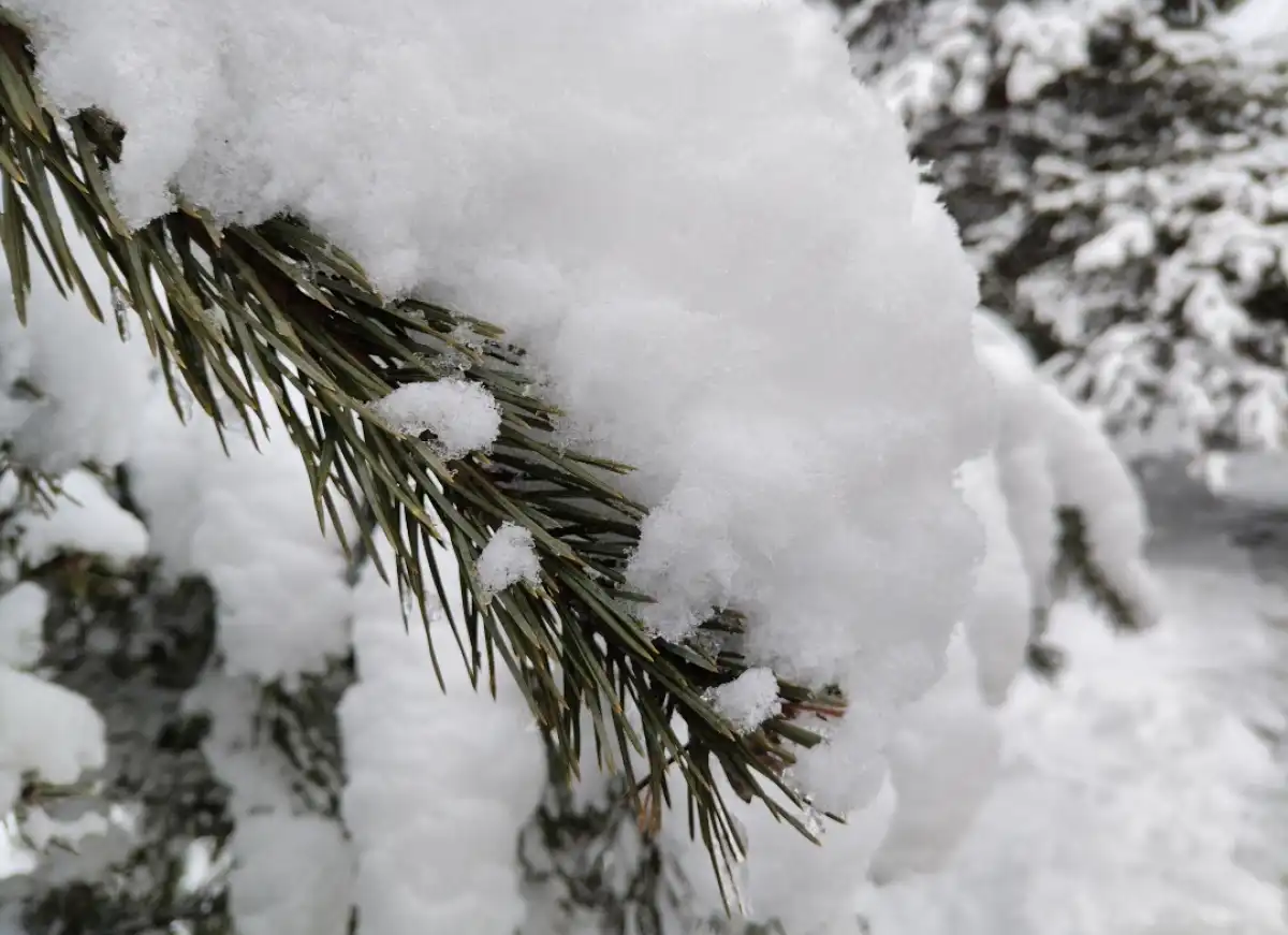 В воскресенье, 11 января, влияние циклона начнет ослабевать, но сохранится в первой половине недели.