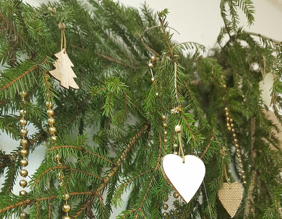 В Великом Новгороде откроется пункт приёма новогодних деревьев для переработки