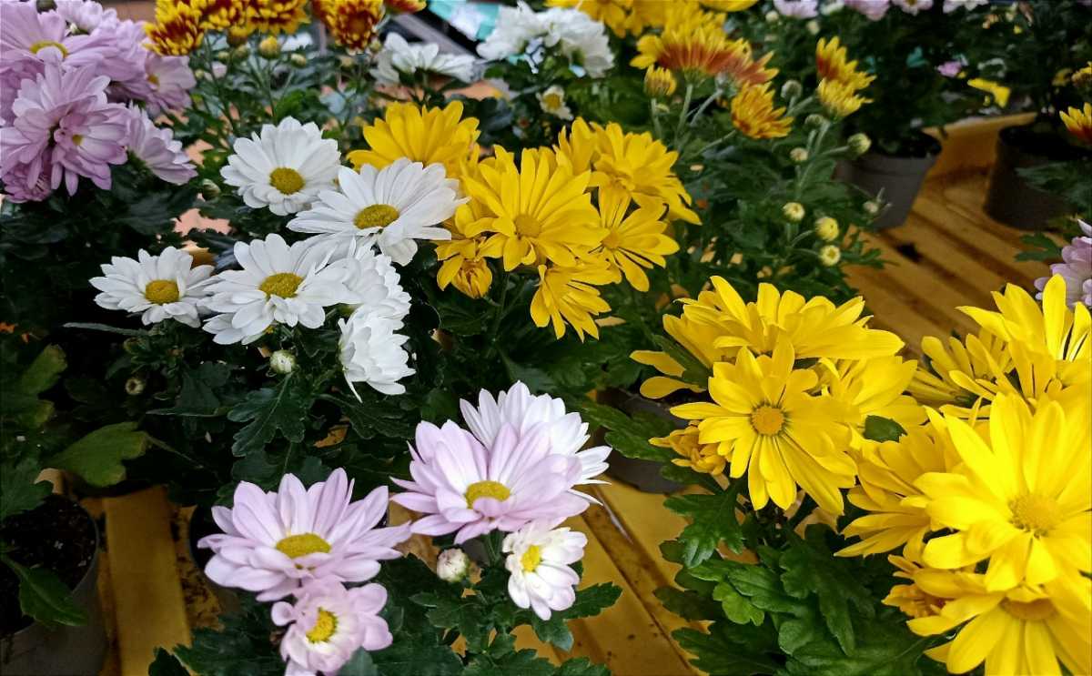 12 января ежегодно в России отмечают День работника прокуратуры.