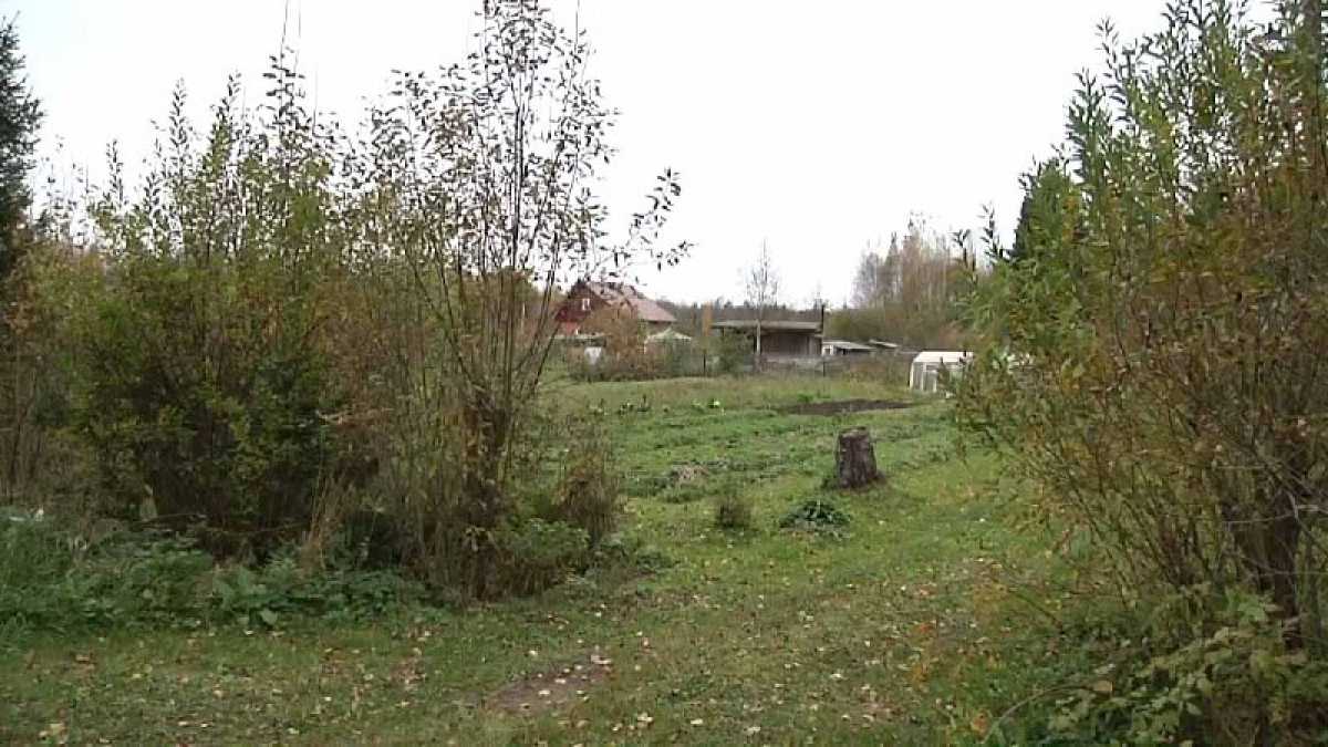 К моменту задержания все вещи новгородец сбыл случайным покупателям.