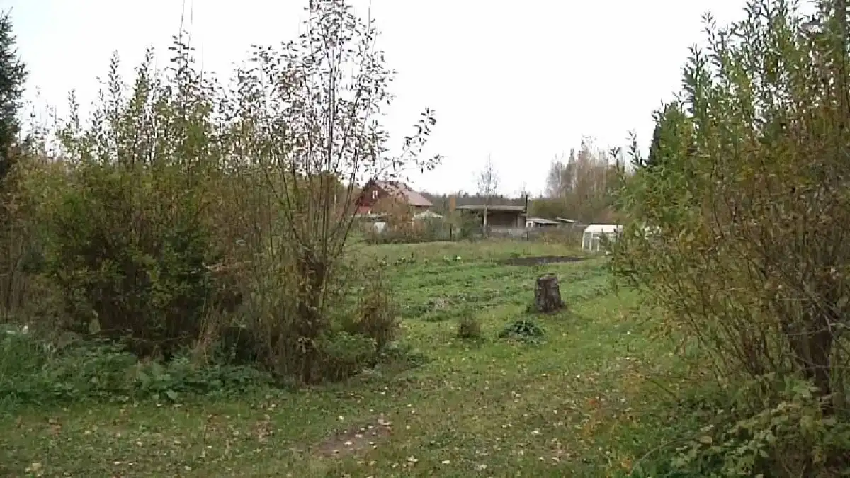 К моменту задержания все вещи новгородец сбыл случайным покупателям.