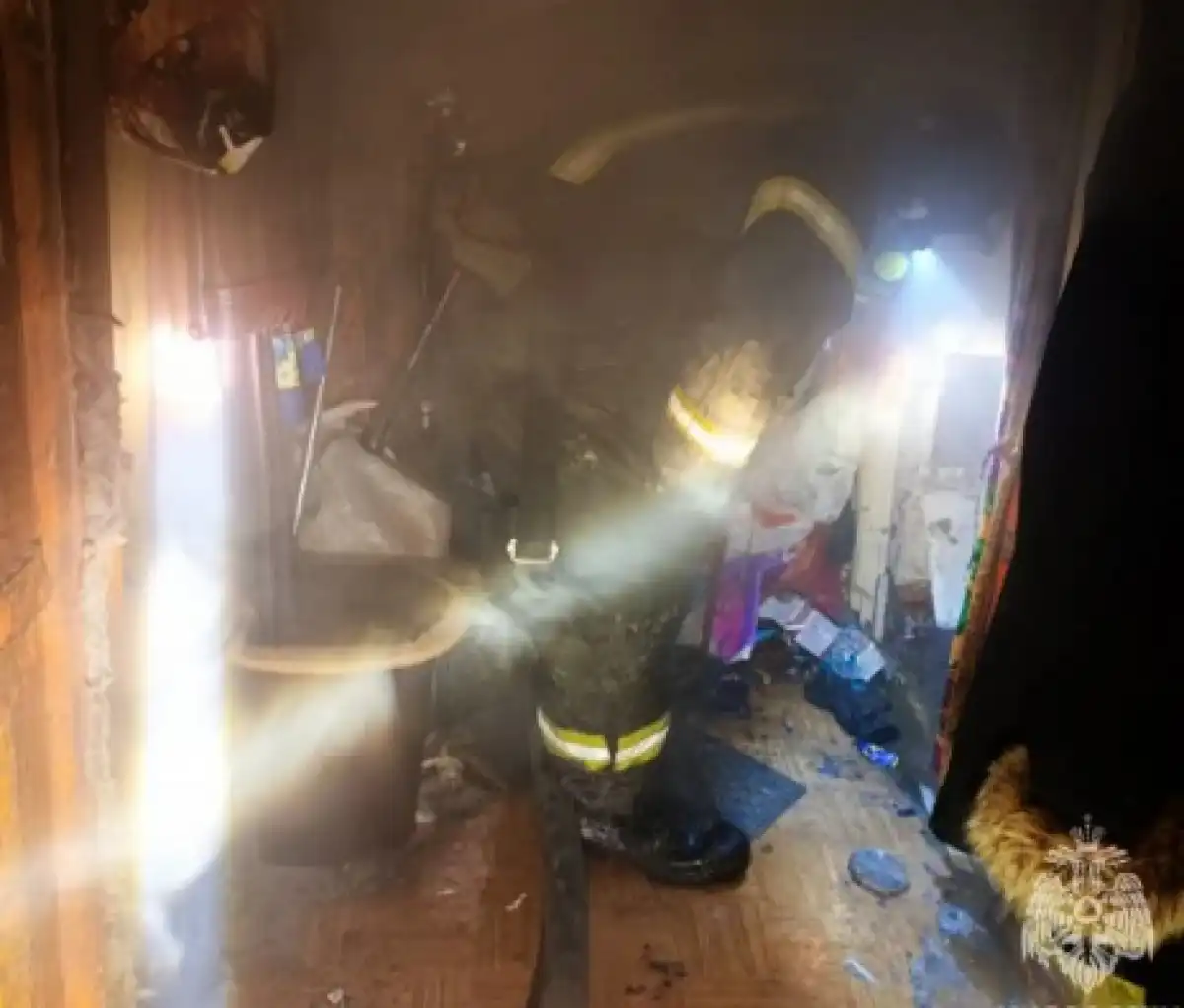 Причины пожаров устанавливают органы дознания.