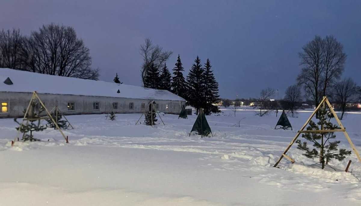 Весной 2025 года возле церкви Петра и Павла в Кожевниках и недалеко от Зверина монастыря высадили около 100 саженцев.
