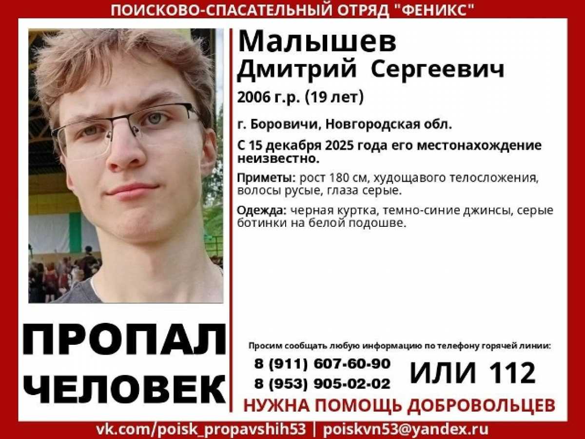 С информацией о местонахождении пропавших можно обратиться к волонтёрам и в полицию.