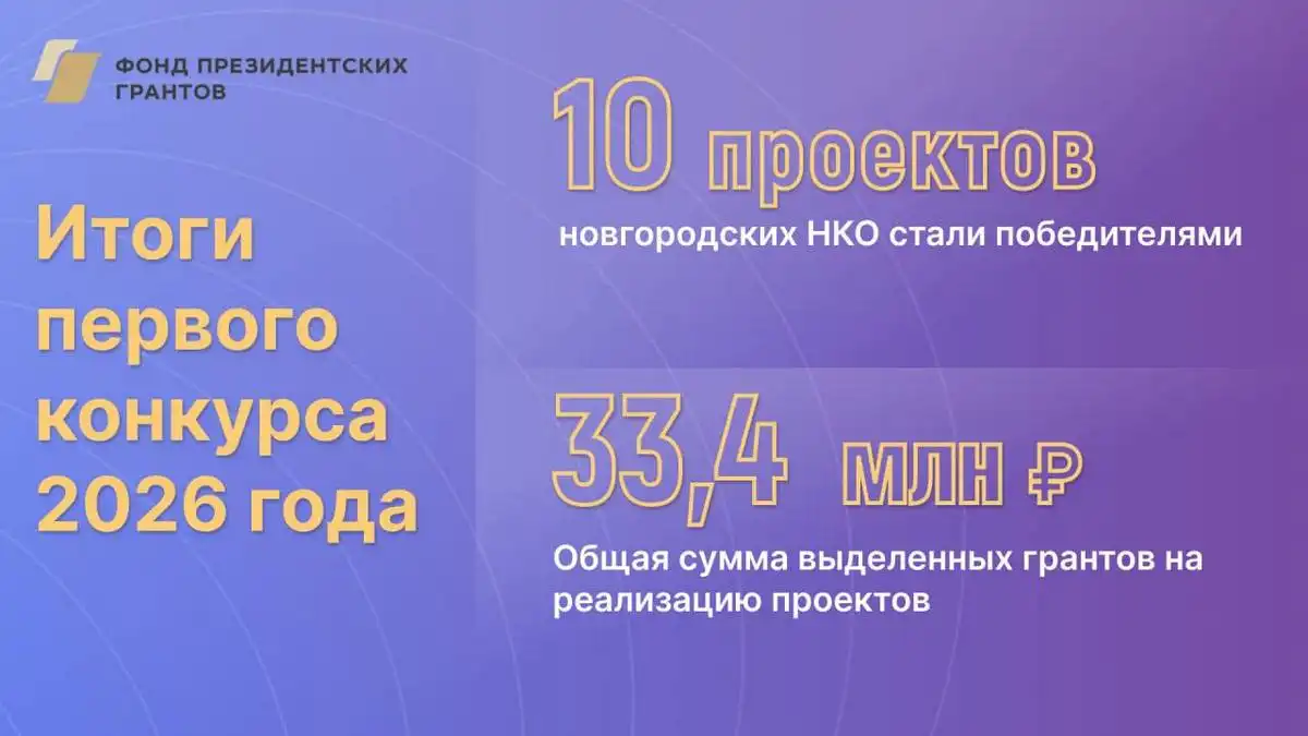 Поддержку получила каждая четвёртая заявка, поданная от Новгородской области.