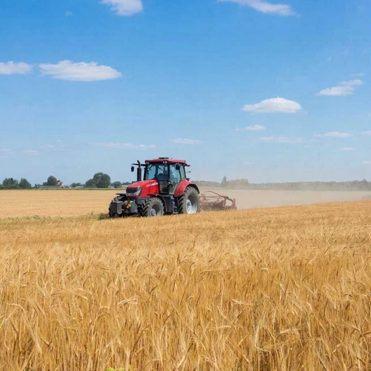 В НовГУ рассказали, как бактерии от стресса могут избавить сельское хозяйство от химикатов