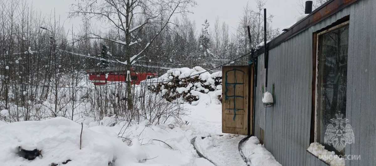 Причины пожаров установят органы дознания.