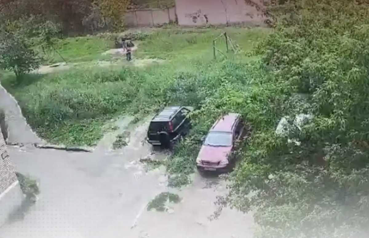 После укусов собаки у девочки остались рубцы на лице.