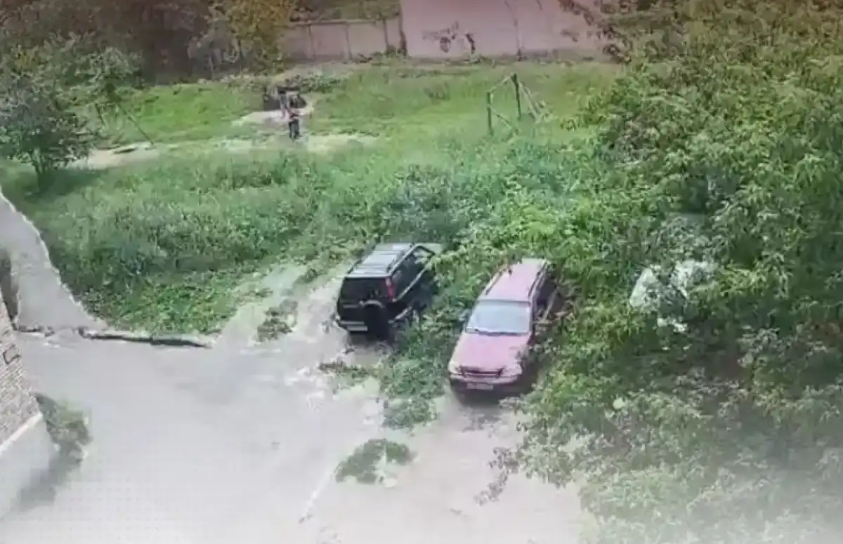 После укусов собаки у девочки остались рубцы на лице.