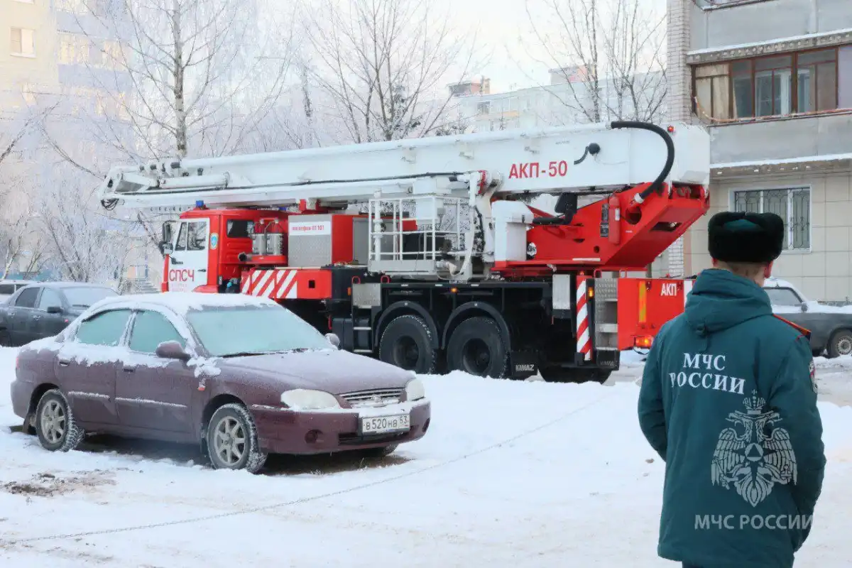 Причина пожара устанавливается органами дознания.