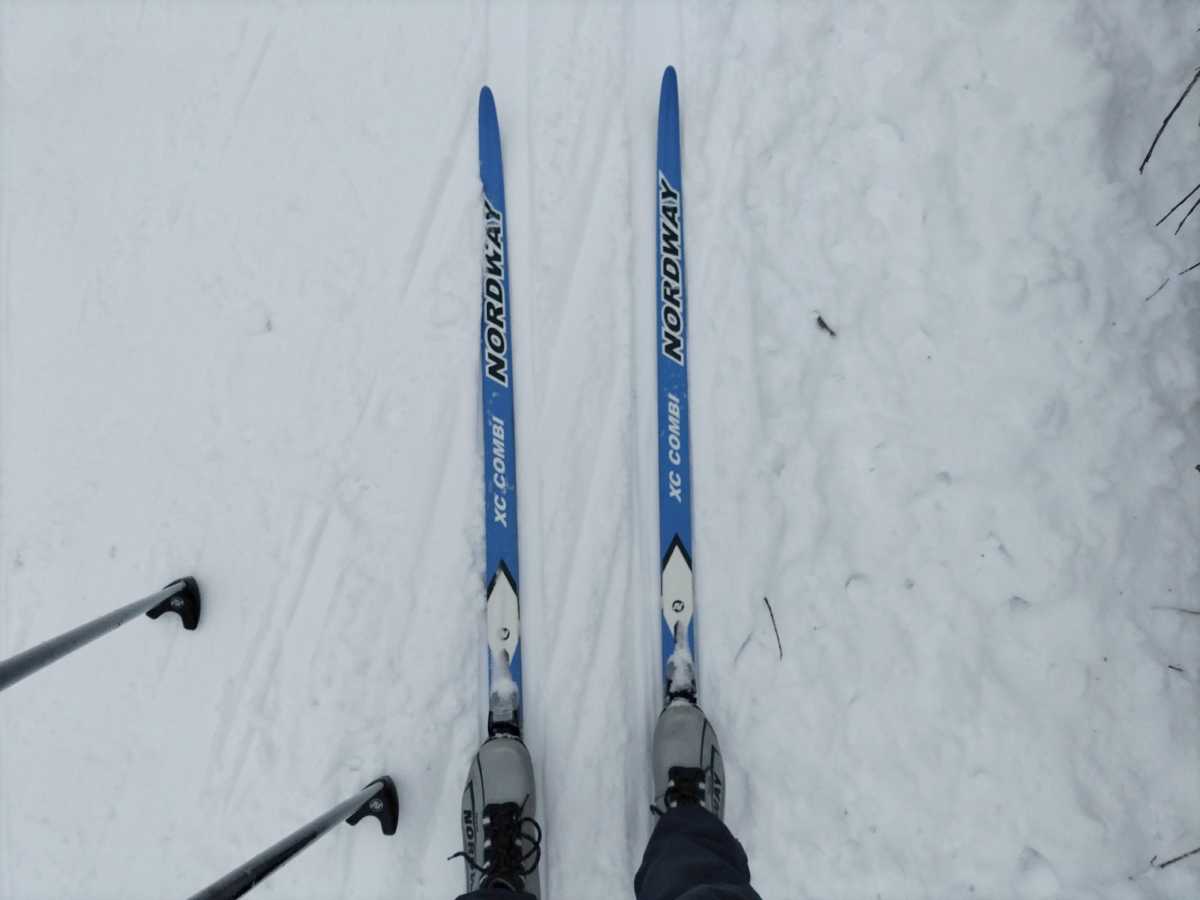 Мужчин-лыжников в 2024 году в регионе было на 255 человек больше, чем женщин.