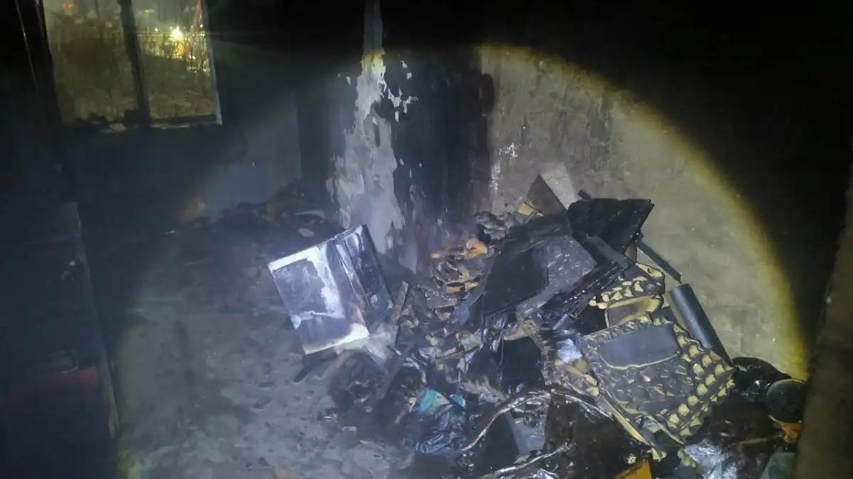 Причины пожаров устанавливают органы дознания.