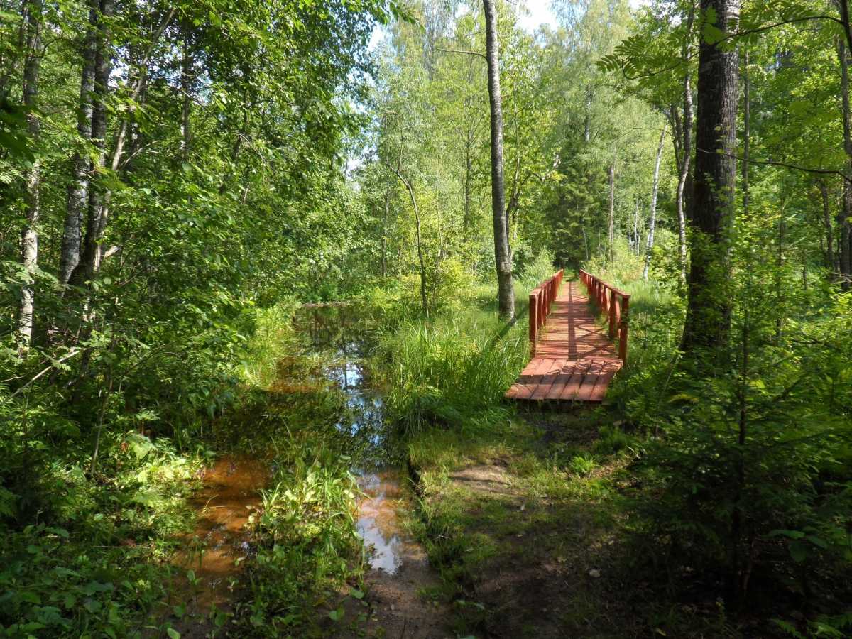 Глэмпинг планируют построить рядом с национальным парком «Валдайский».