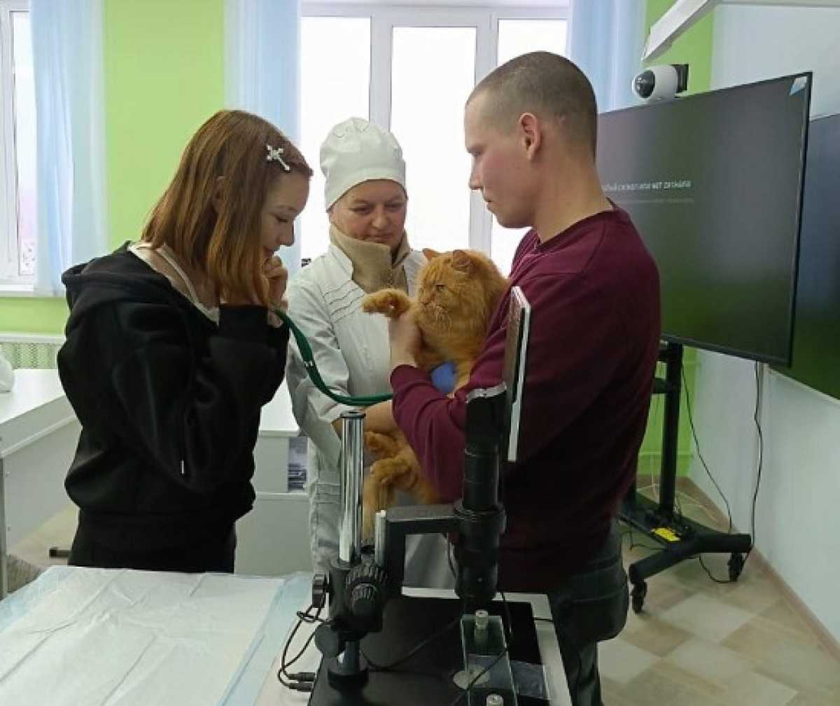 Ребята смогли примерить на себя роль ветеринарного врача и обследовать кота Кузю.