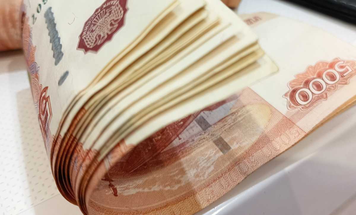 Более половины займов новгородские бизнесмены брали в фонде поддержки малого предпринимательства на инвестиционные цели.