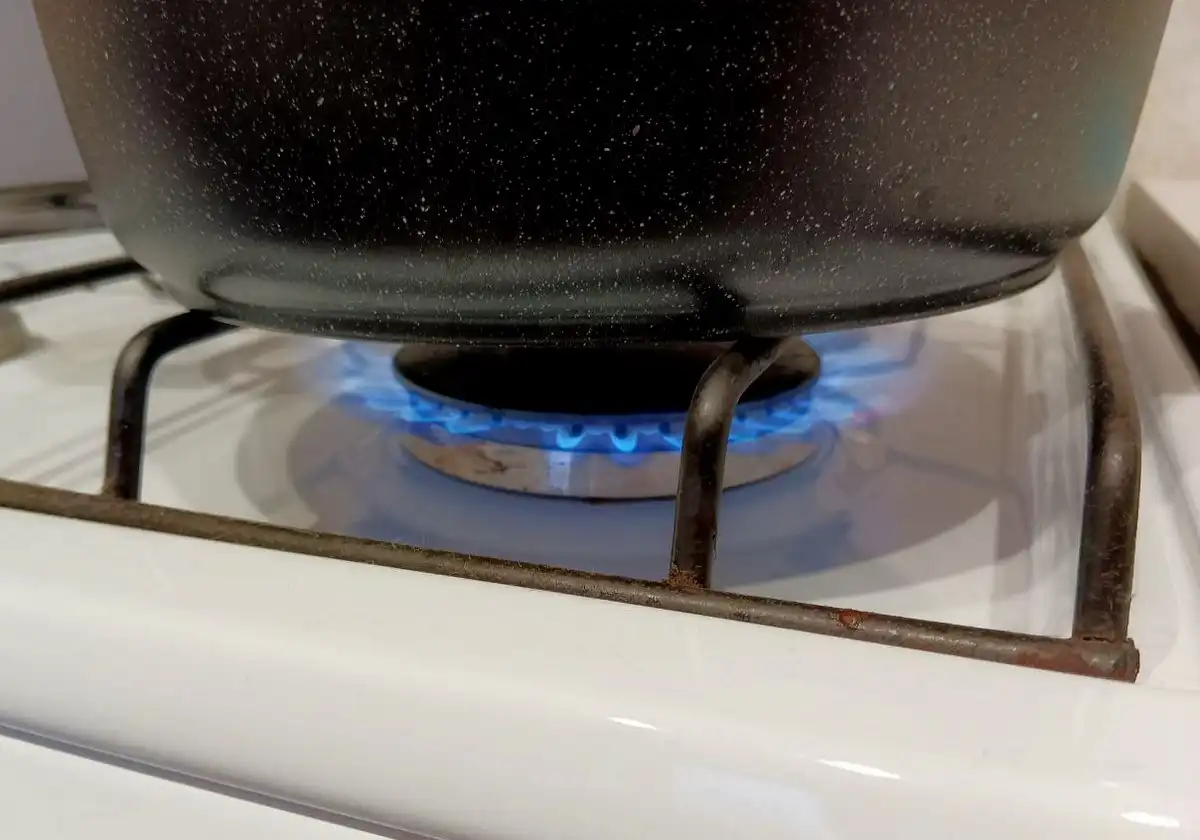 Техническую возможность подключения получили девять домовладений деревни.