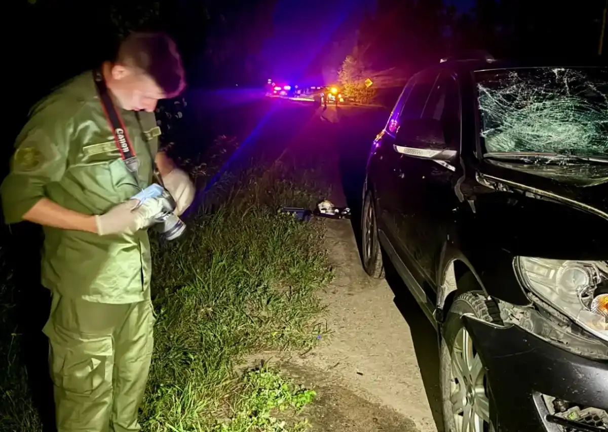 Артём Никитин насмерть сбил мужчину и девочку на дороге в деревне Горные Морины.