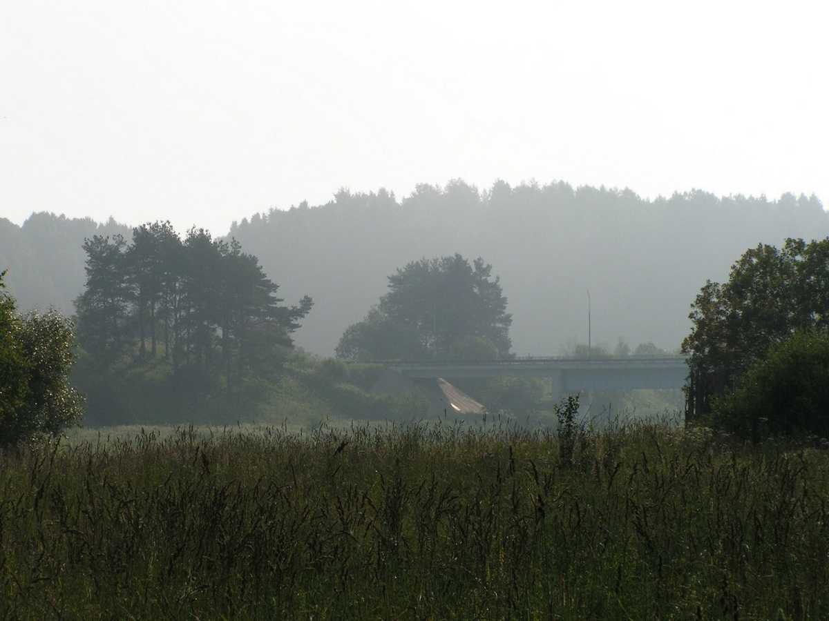 Пермяк пытался скрыться от полицейских в лесу.