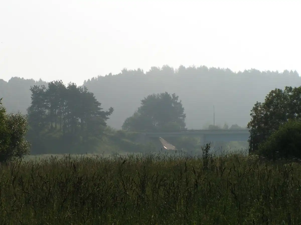 Пермяк пытался скрыться от полицейских в лесу.
