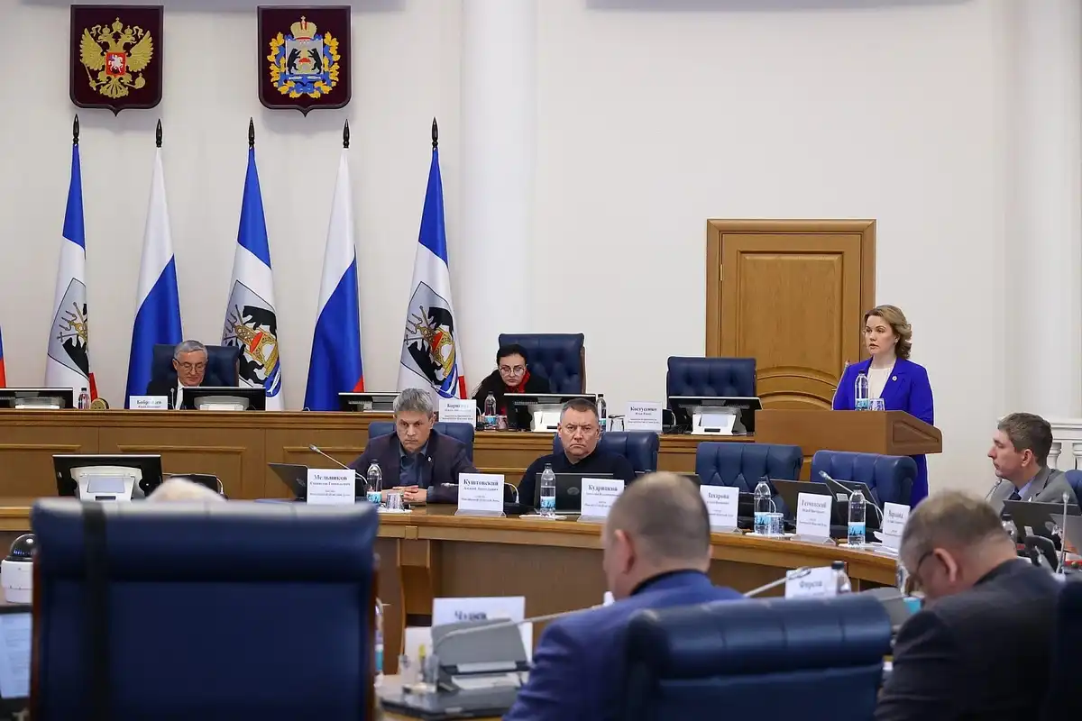 Депутаты приняли документ 29 января.