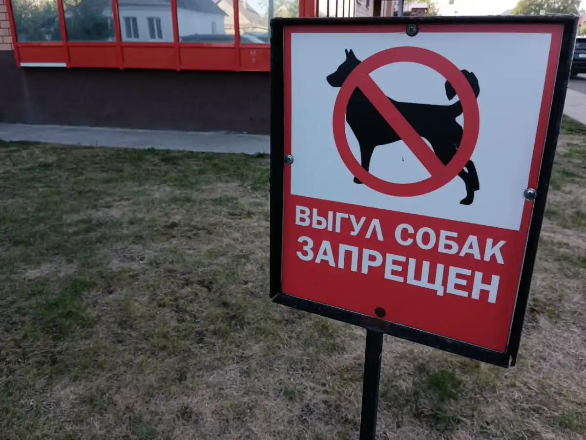 За нарушение правил выгула собак придётся заплатить штраф.