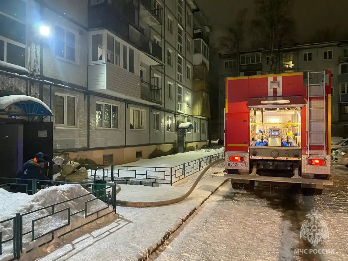 Причины пожаров устанавливают органы дознания.