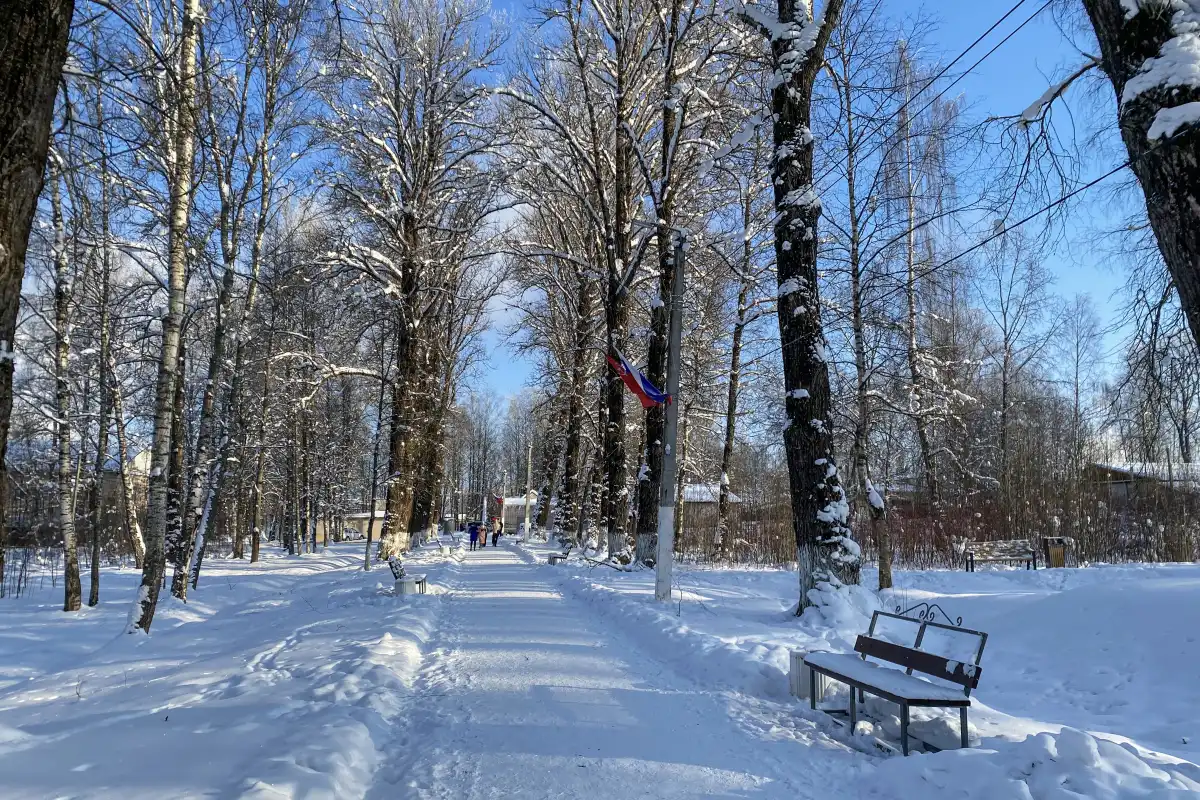 Принять участие в опросе на тему благоустройства парка могут все желающие.