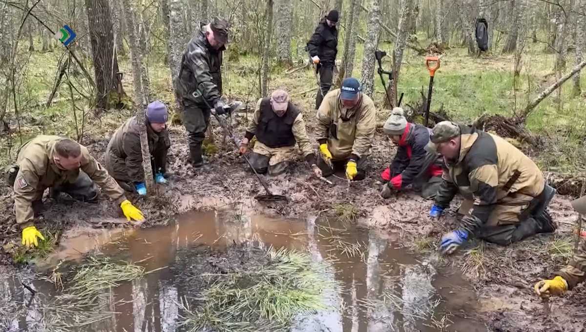 Телеканал «Юрган» рассказал о работе поисковиков из Коми, поднявших останки 37 бойцов в Новгородской области