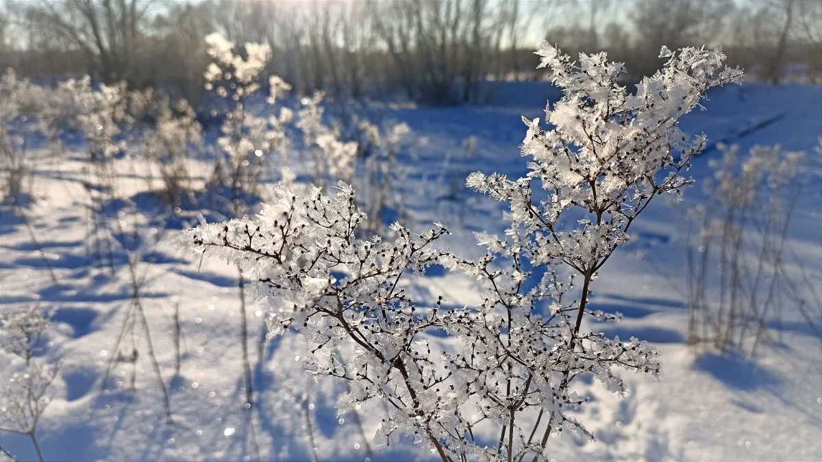 В начале рабочей недели погода в регионе будет не сильно отличаться от выходных