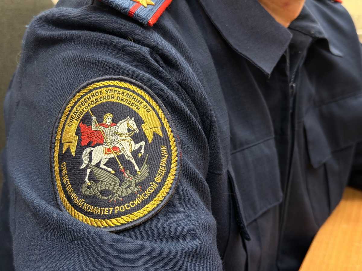 Уголовное дело расследовали в Следственном управлении СКР по Новгородской области.
