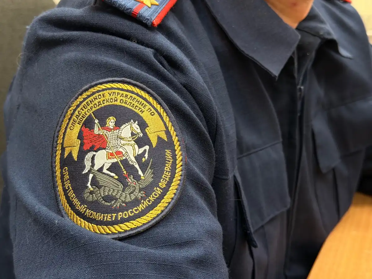 Уголовное дело расследовали в Следственном управлении СКР по Новгородской области.