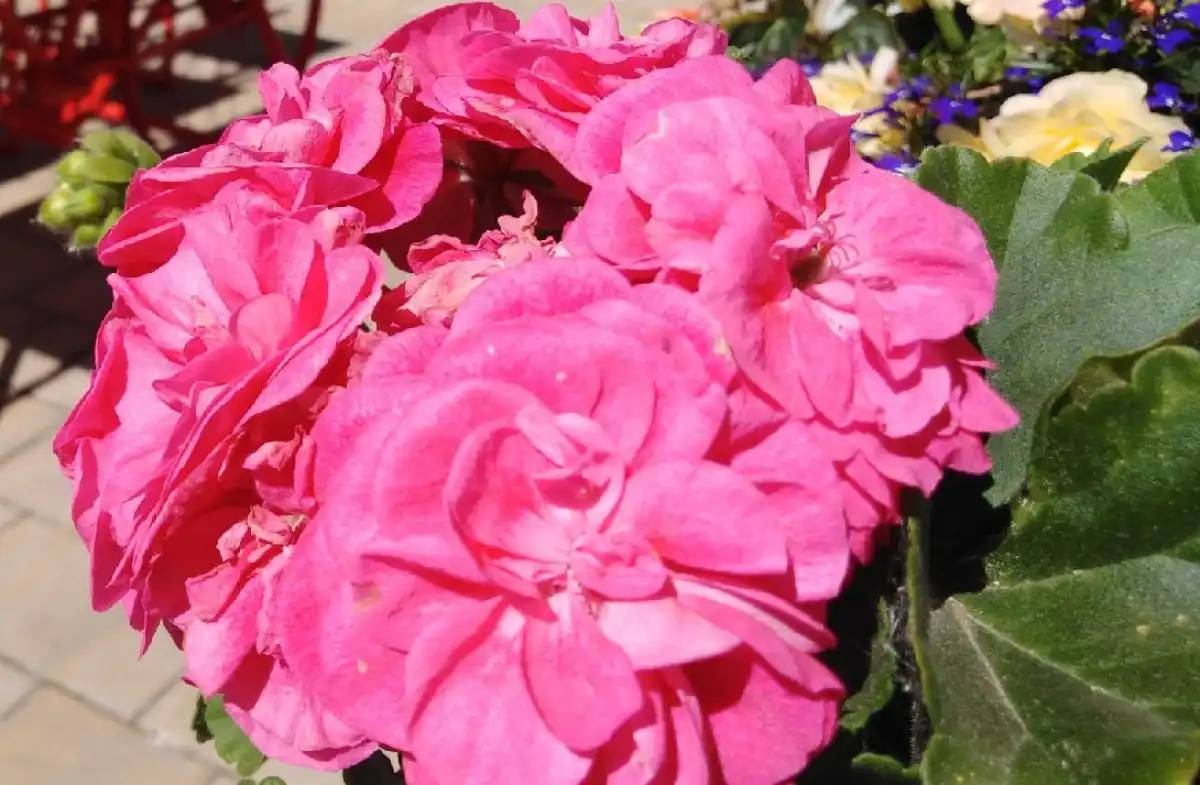 Проекты-победители предполагают благоустройство общественных территорий и образовательных учреждений.