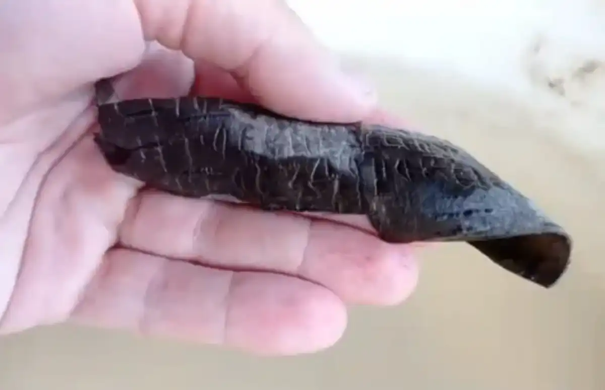 Берестяную грамоту с Иоанновского раскопа датируют XIV веком.