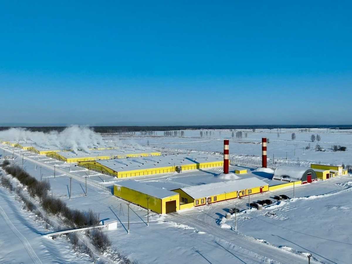 Применение аэрофотосъёмки с помощью дронов даёт возможность детально изучить территорию животноводческих комплексов.