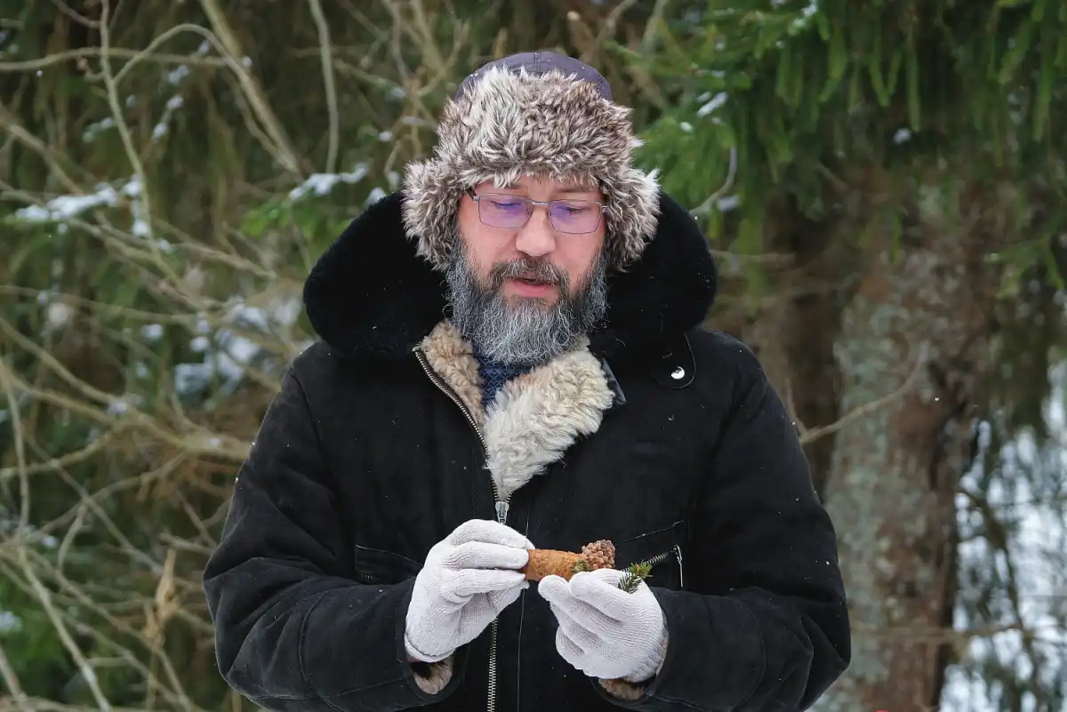 В Новгородской области ежегодно для лесовосстановления требуется 500 кг семян.