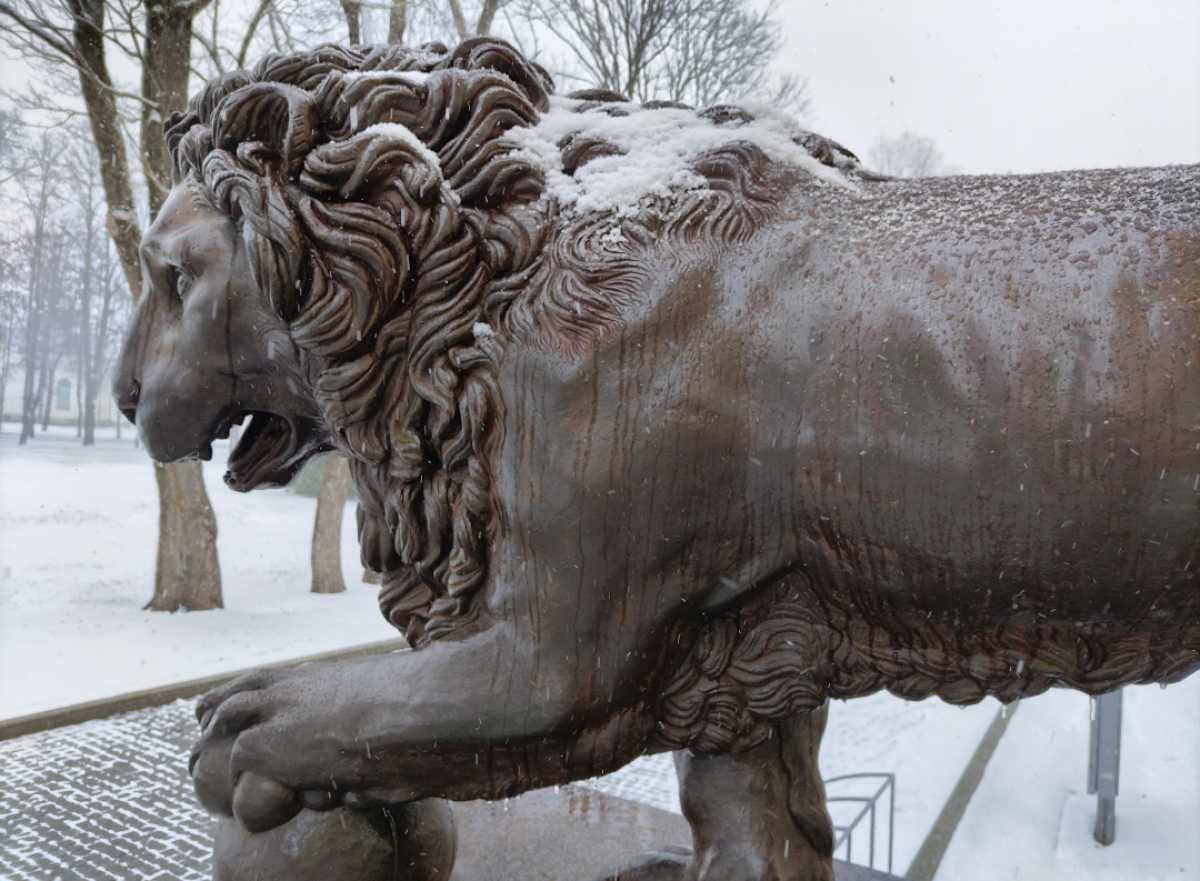 К концу дня 13 февраля в Великом Новгороде пойдёт снег.