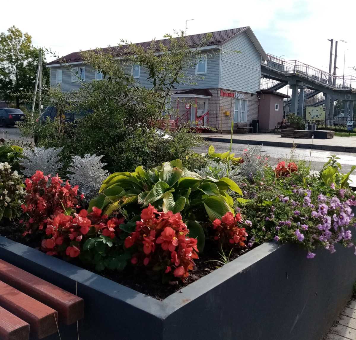 Благодаря Татьяне Гринберг каждое лето преображается главная улица Окуловки – улица Ленина.