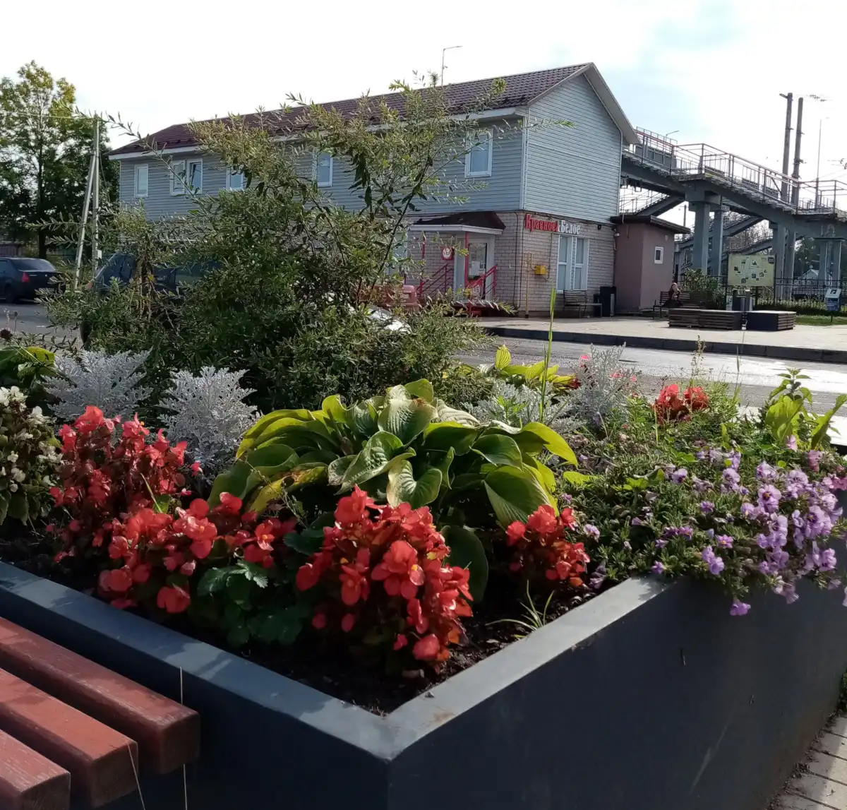 Благодаря Татьяне Гринберг каждое лето преображается главная улица Окуловки – улица Ленина.