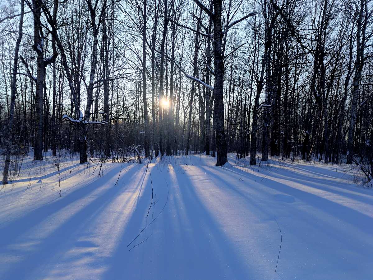 Завтра, 17 февраля, ночью мороз в регионе будет достигать 20-25 градусов, местами до 28.
